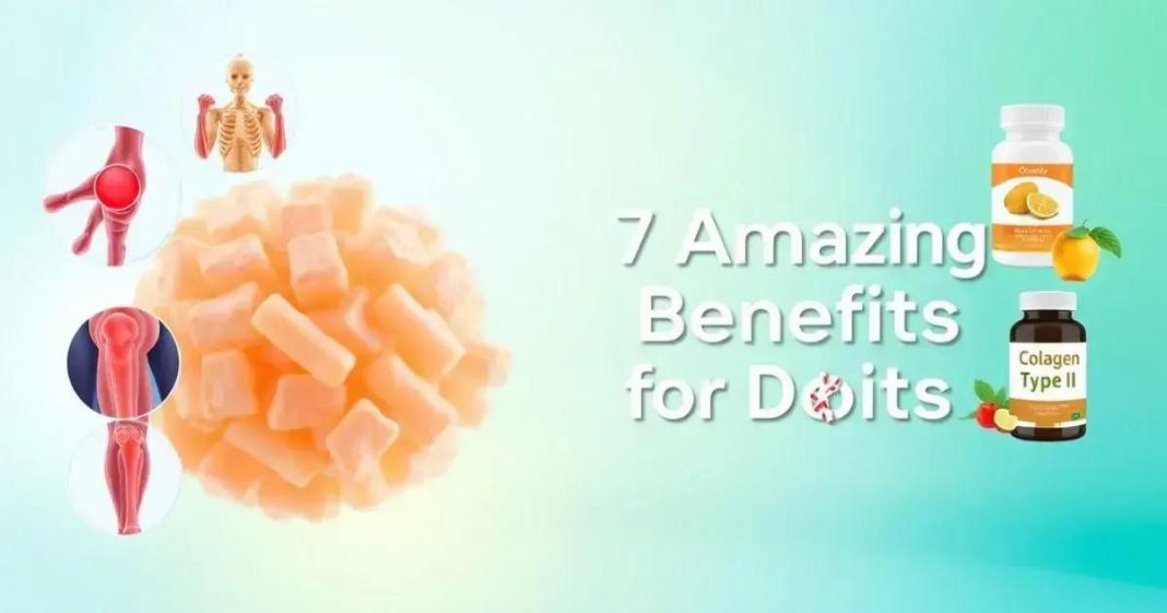 7 Amazing Benefits of Collagen Type II for Joint Health