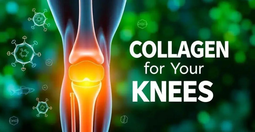 Collagen for Your Knees: Benefits and How It Works