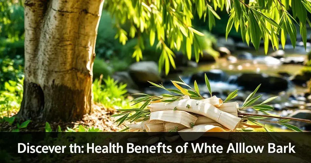 Health Benefits of White Willow Bark