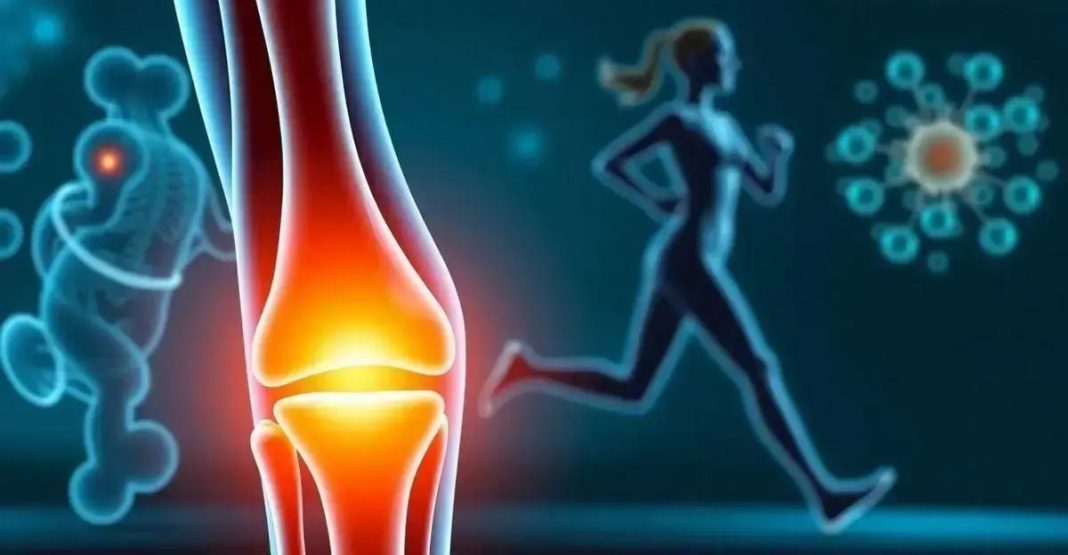 Unlocking the Benefits of Native Type 2 Collagen for Joint Health