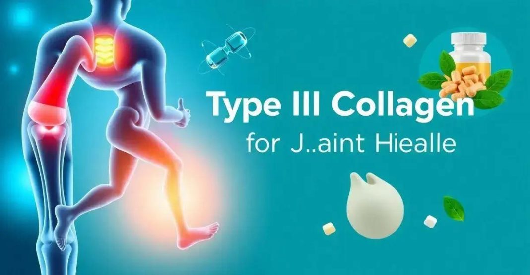 The Benefits of Type II Collagen for Joint Health