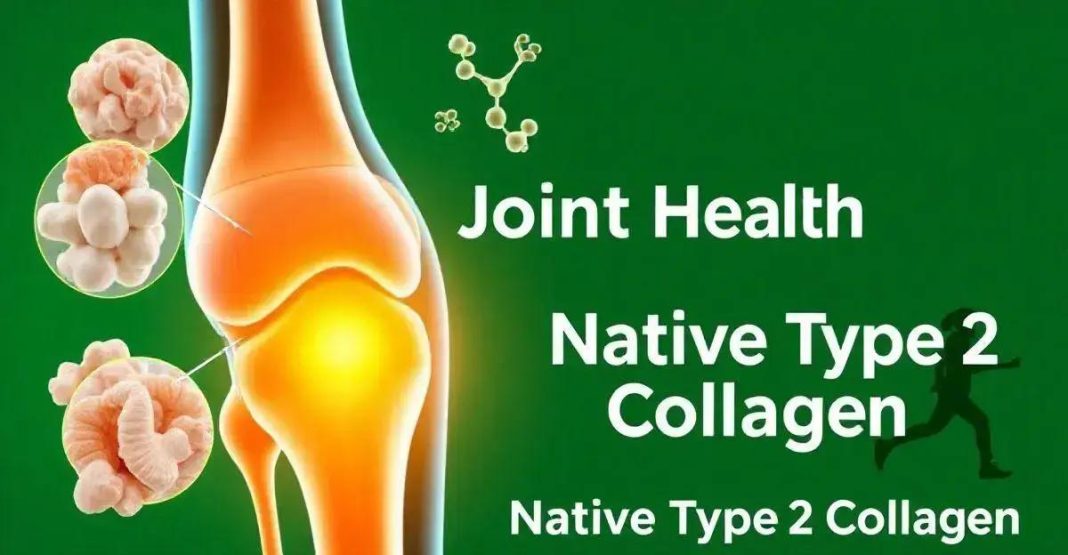 Understanding Native Type 2 Collagen: Key Benefits for Joint Health